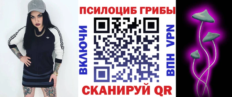 Псилоцибиновые грибы Psilocybe  сколько стоит  Ленинск-Кузнецкий 