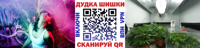 МАРИХУАНА планчик  Ленинск-Кузнецкий 